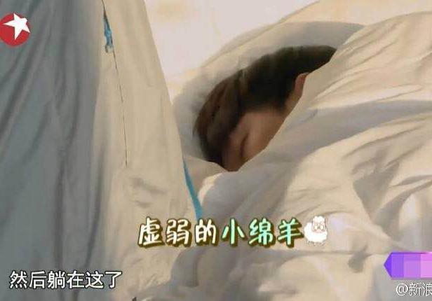 张艺兴《极限挑战》录制累到晕倒？！带病工作粉丝能不心疼吗！