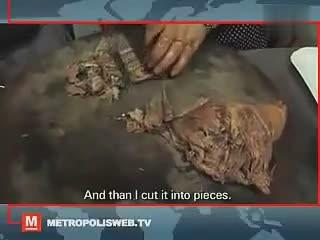 新加坡人来中国专吃狗肉-色泽诱人连夸绝味