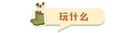 最适合带宝宝亲子游的5个国家和地区：不远不累又不贵