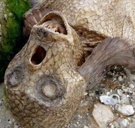 古城墓室惊现3000年前的神秘海底人鱼