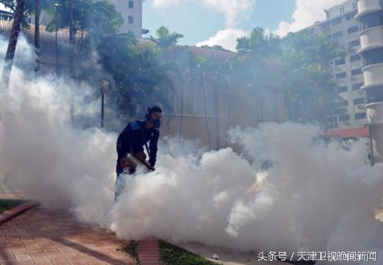 新加坡寨卡病例猛增！21名中国人在新加坡感染