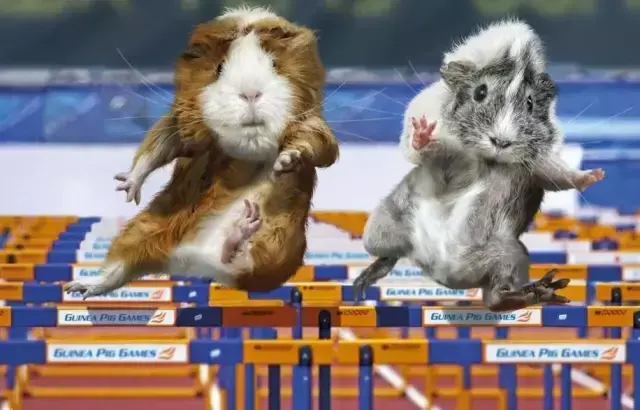 旅游必去｜英国BBC评出的人生50个必去的地方，你去过几个？