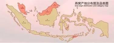 中西医眼里的燕窝有何区别