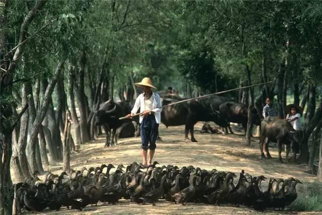 20万张底片，这个日本人记录了80年代中国最全的影像！