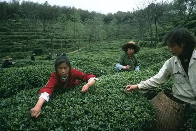 20万张底片，这个日本人记录了80年代中国最全的影像！