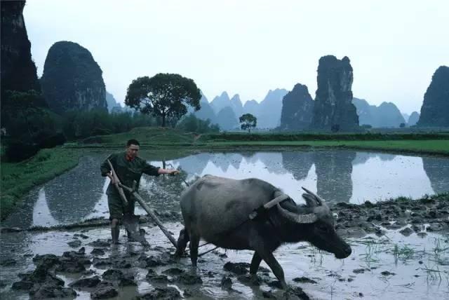 20万张底片，这个日本人记录了80年代中国最全的影像！