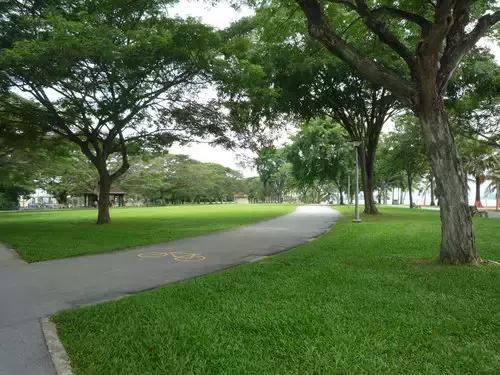 新加坡花园城市之路：10年一规划 50年一直坚持