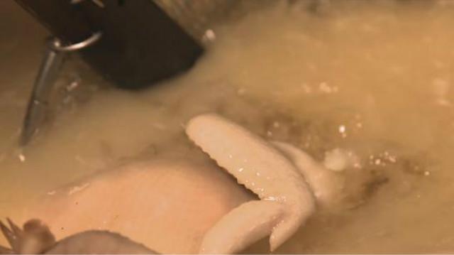 新加坡国菜竟然是从中国传入，到底是哪道美味让外国人也神魂颠倒