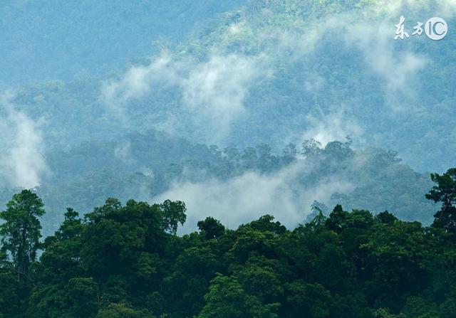 中国赢了！南海局势完全被中国掌控，美国阴谋斗不过中国智慧