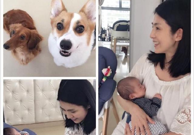 杨采妮当妈后第一个生日 抱着小孖宝享受甜蜜时光