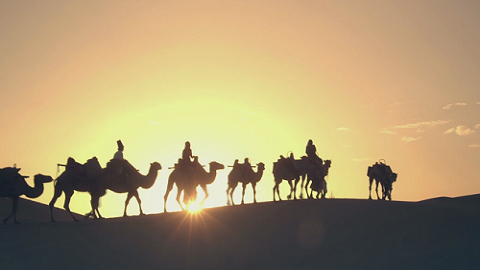 从古至今，汗血宝马到泰国乳胶枕，丝绸之路上什么买卖最火爆？