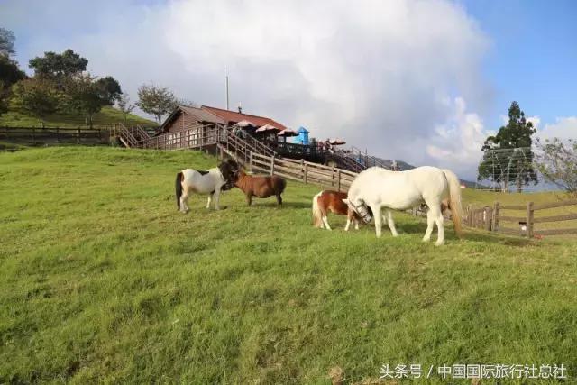 趁着暑期没结束，开学前咱们去这些地方逛逛吧