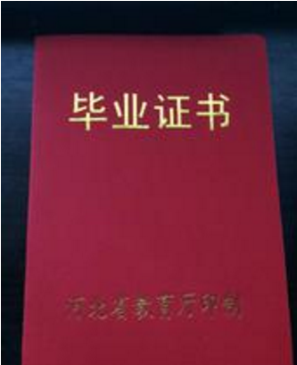 干货｜新加坡留学DIY私立学校材料准备