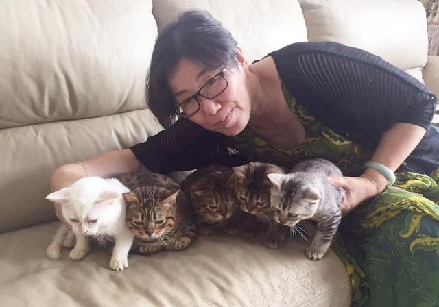 反对养猫还要把猫送人的妈妈，看到一屋子小萌猫后马上变成猫奴