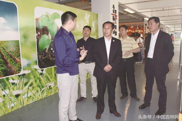 白山赤子 西南建功