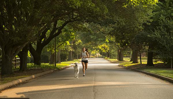 专家解读：跑步机和户外跑步到底哪个更减肥？！跑步知识就在这！