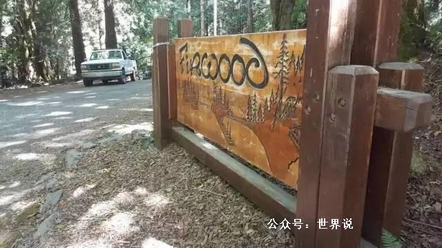 中国高中生美国夏令营溺亡！海外夏令营没你想的靠谱