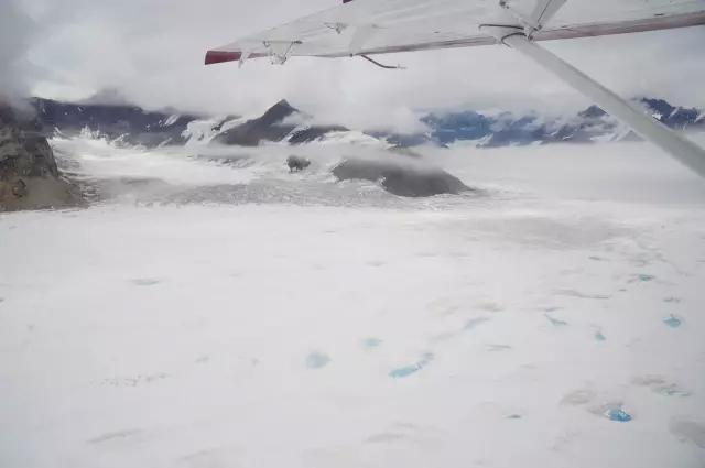 阿拉斯加游记：在“最后的边疆”，亲吻雪山、冰川、峡湾与荒野