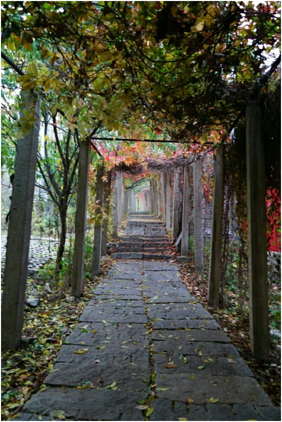 走！去阜新的AAA景区宝力根寺