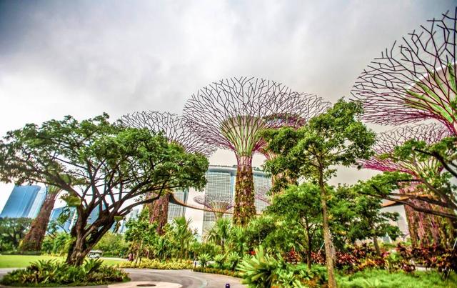 跟兔达人走世界——新加坡，花园城市国家