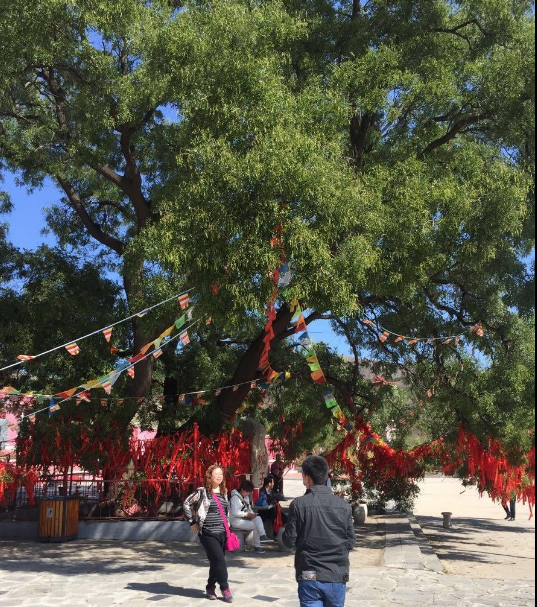 走！去阜新的AAA景区宝力根寺