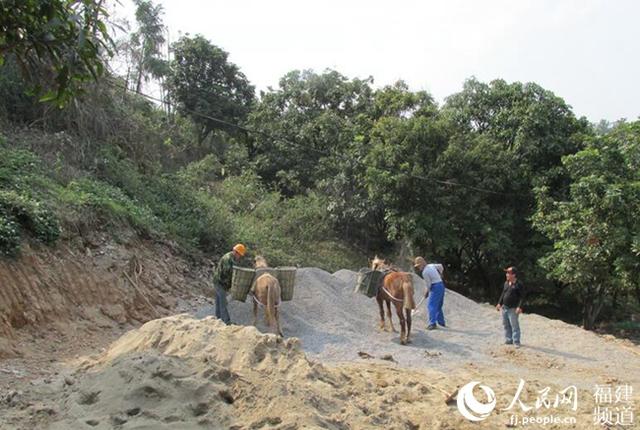 揭秘全国最长空中森林步道修建背后的故事