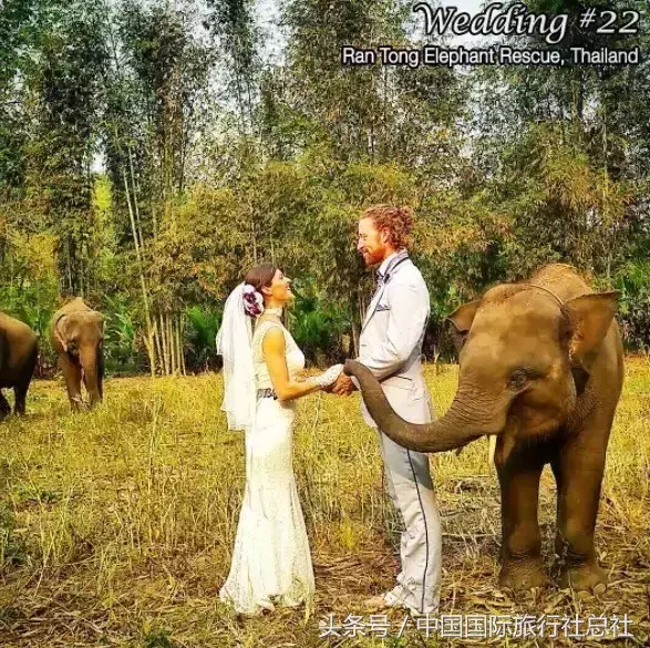 他们在30多个国家结了100多次婚，每个地方都浪漫到窒息啊！
