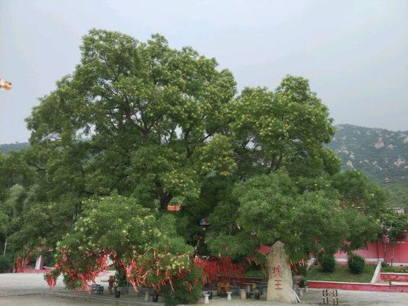 走！去阜新的AAA景区宝力根寺