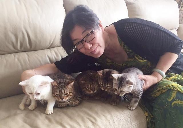 妈妈嫌弃女儿养太多猫，最后却被满屋小猫萌翻各种抱抱亲亲举高高