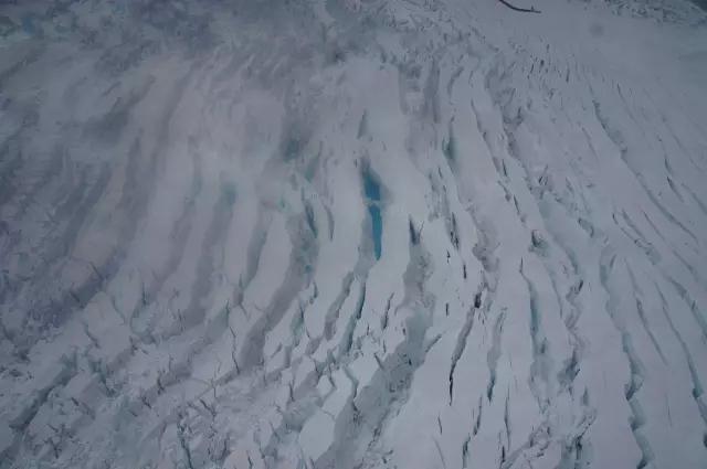 阿拉斯加游记：在“最后的边疆”，亲吻雪山、冰川、峡湾与荒野