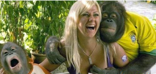 网红新加坡小游一番，居然被帅帅的小哥给逗乐了？