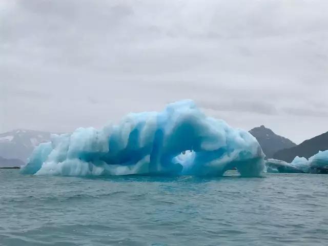 阿拉斯加游记：在“最后的边疆”，亲吻雪山、冰川、峡湾与荒野