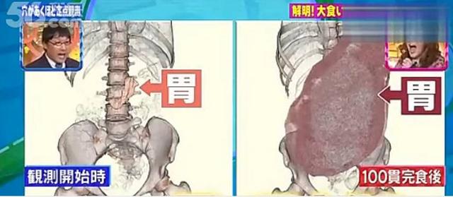 吃不胖的“大胃王”们