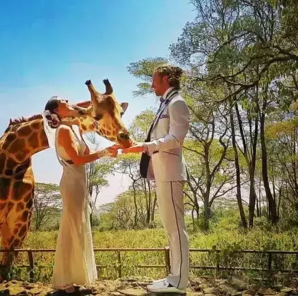 时间最长的婚礼：夫妻3年走过30个国家举行了100多次婚礼