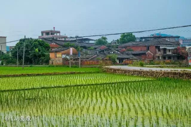 泉州古厝｜探寻“印尼糖王”黄奕住的南安古宅