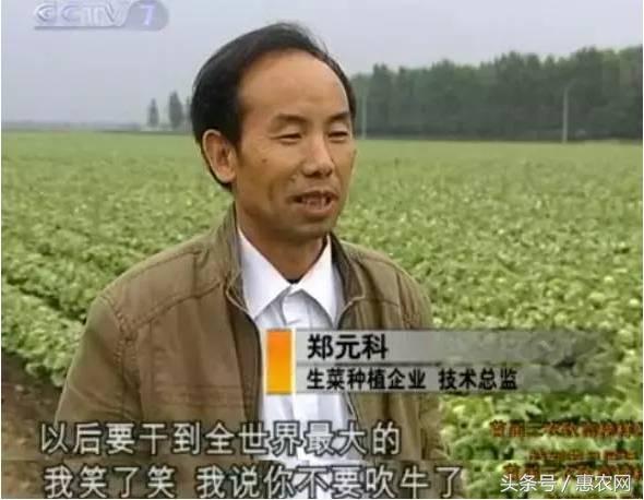 这个农民只卖一种蔬菜，年入4.8亿，谁说种田的不能当亿万富翁？