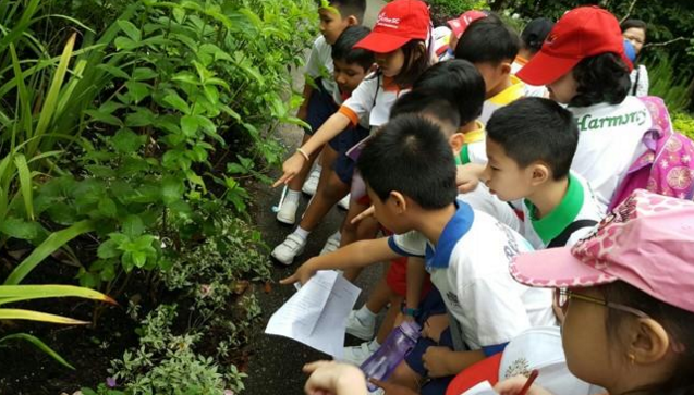 留学生如何快速融入新加坡小学？答案是：户外课程