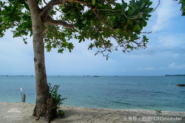 新加坡人会玩的上天了！租他国的一个岛80年建渡假区