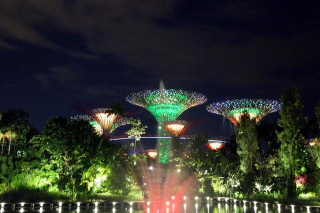 新加坡的夜景美得很高大上