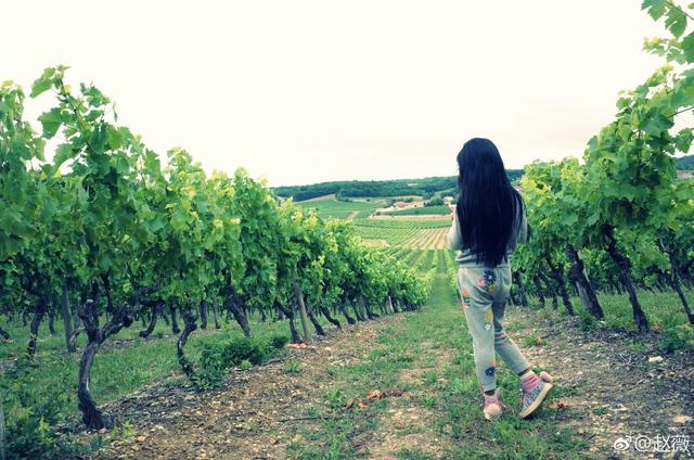 人间最美四月天，赵薇女儿小四月近照曝光