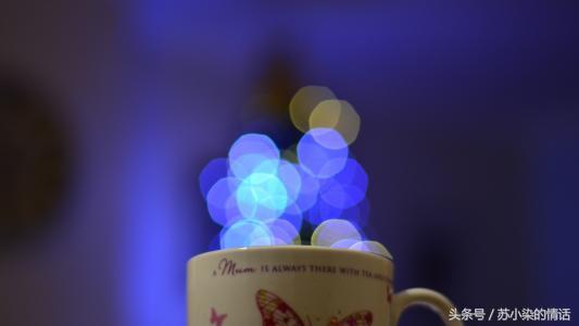 走失在春暖花开（下）