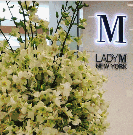 世界上有一种恐怖，叫魔都的 Lady M