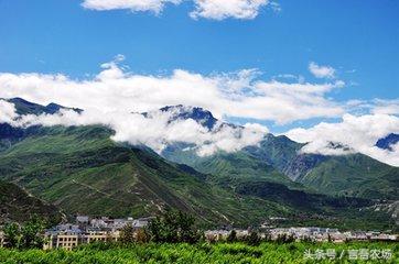 言吾农场：亲身探寻，海拔最高的李子果园