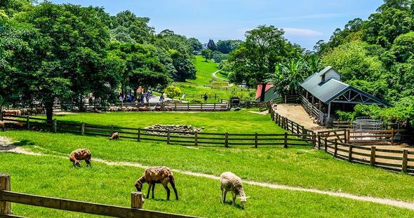 理论+案例：解读 乡村旅游与传统农业发展 五大模式