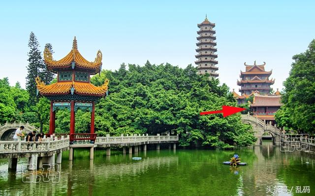 福建千年古寺竟拥多项全国之最 宋代荔枝树至今仍果实累累！