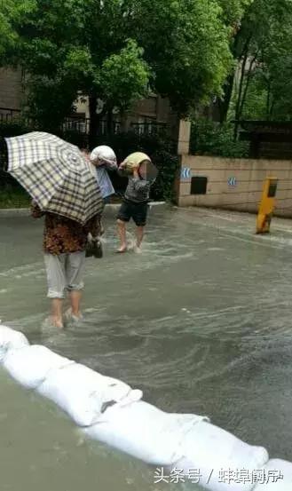 今晨珠城下大雨，我带妹子踏浪去上班