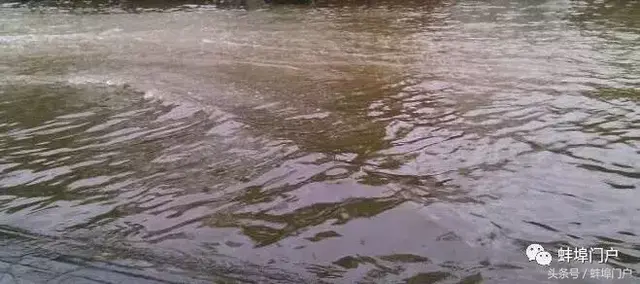 今晨珠城下大雨，我带妹子踏浪去上班