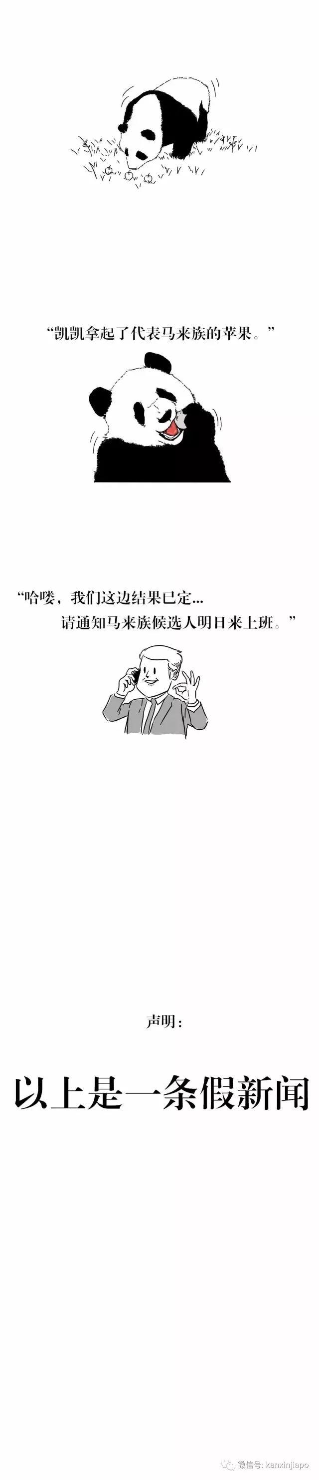 机智漫画｜新加坡总统，原来是这样选出来的