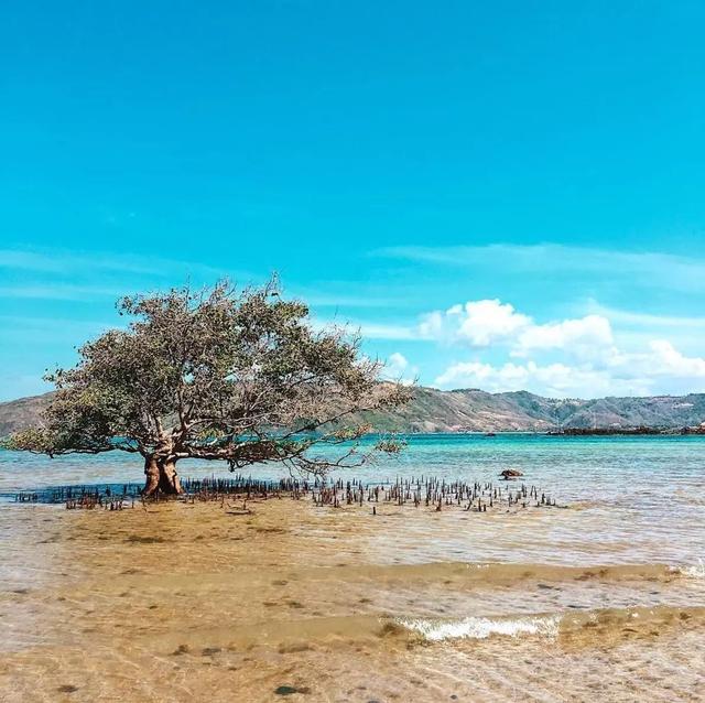 印尼可不仅仅只有巴厘岛，带你去看更美的山和海！