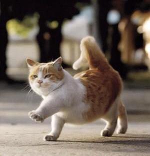 阳台还能做吧台?无锡新加坡尚锦城109平,自然现代三居半包5万